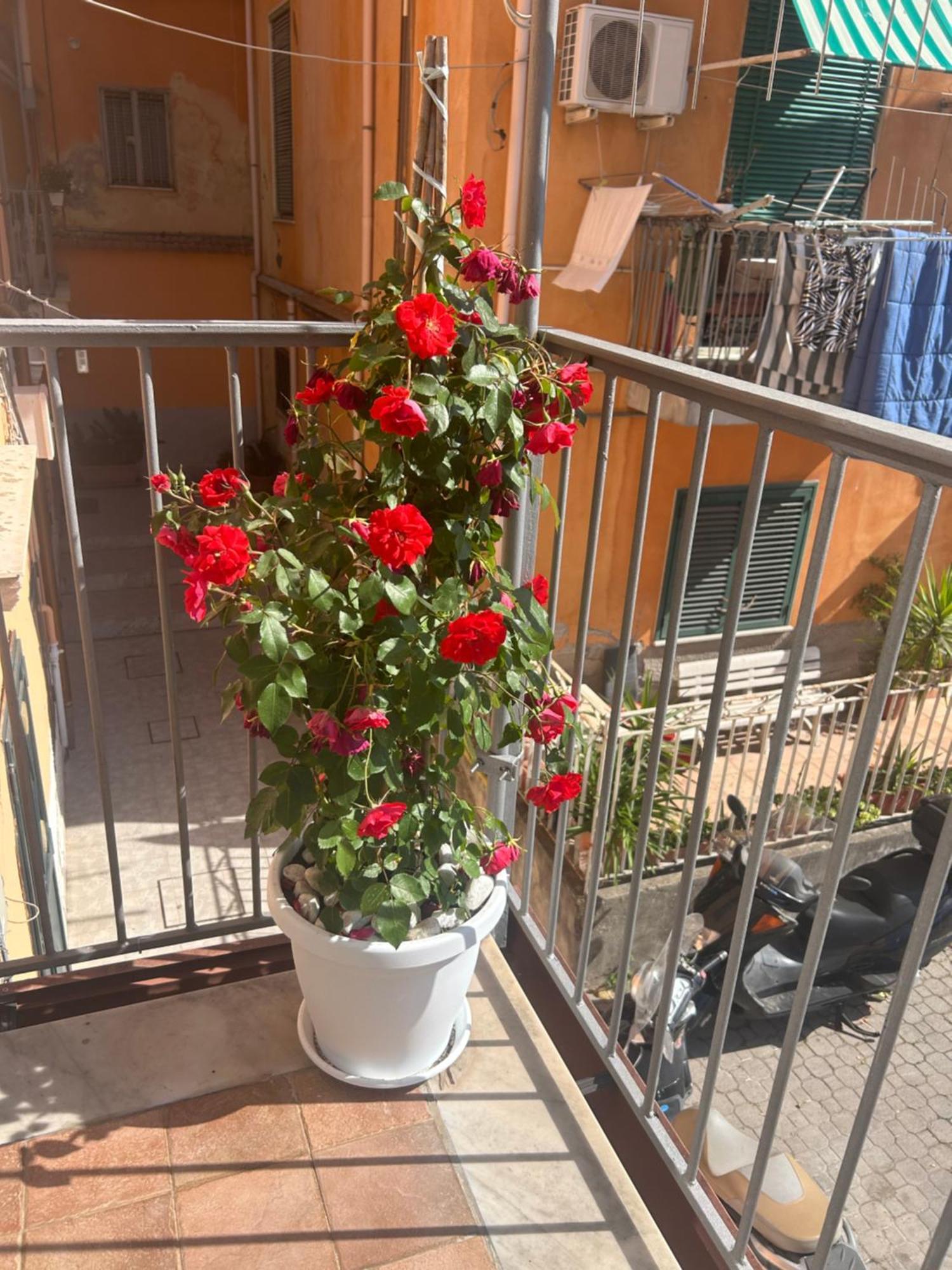 Sissi House Salerno Apartment Екстериор снимка