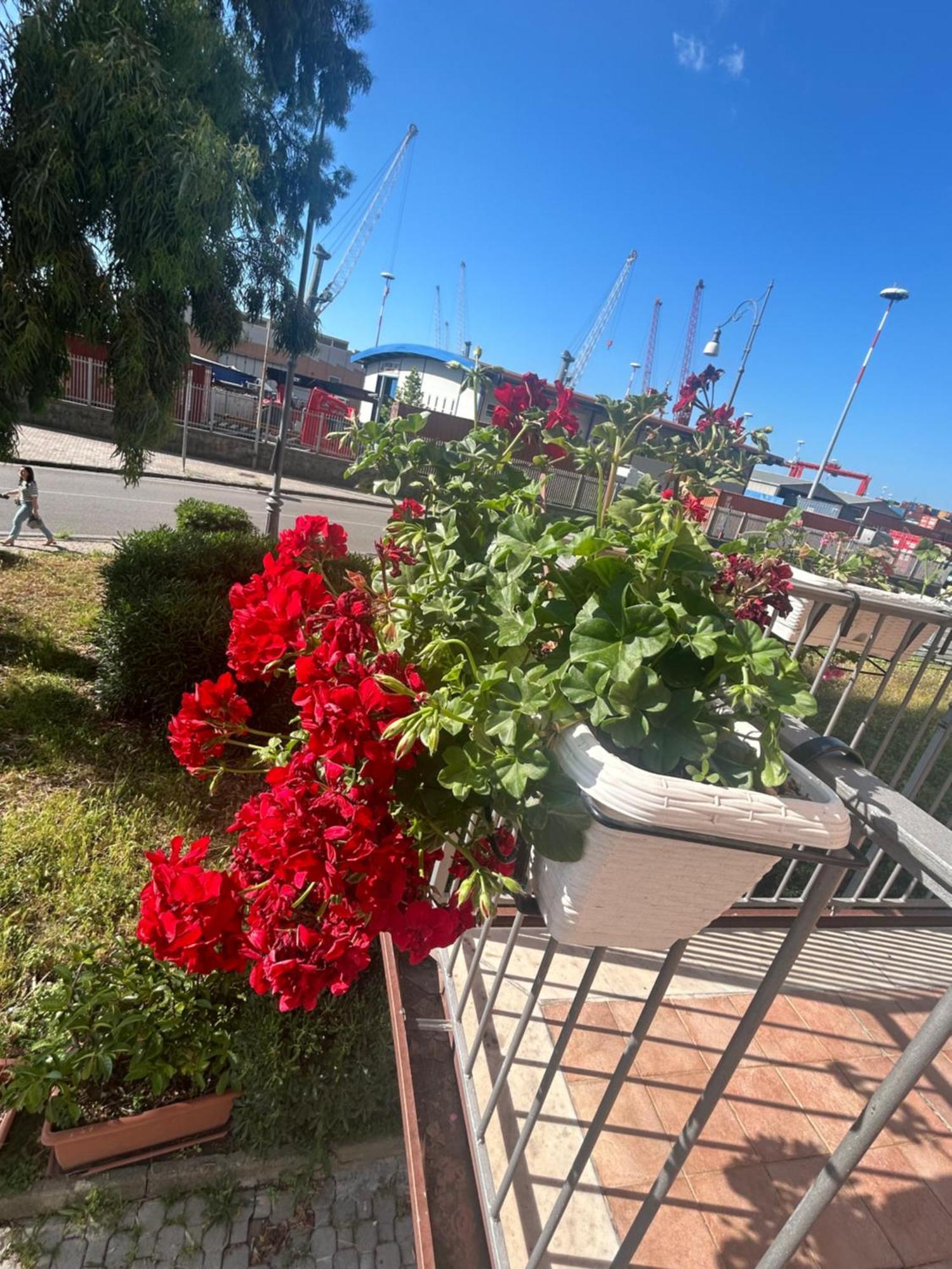 Sissi House Salerno Apartment Екстериор снимка