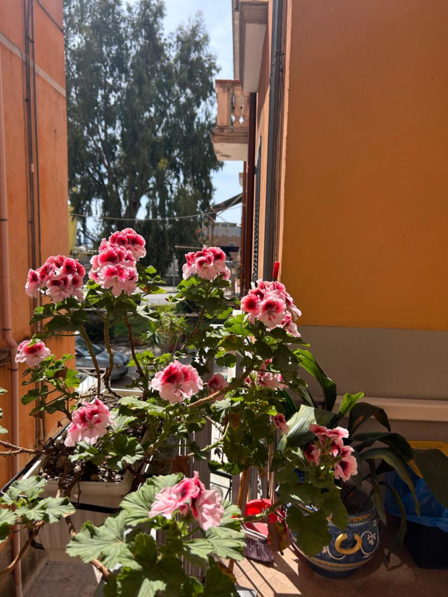 Sissi House Salerno Apartment Екстериор снимка