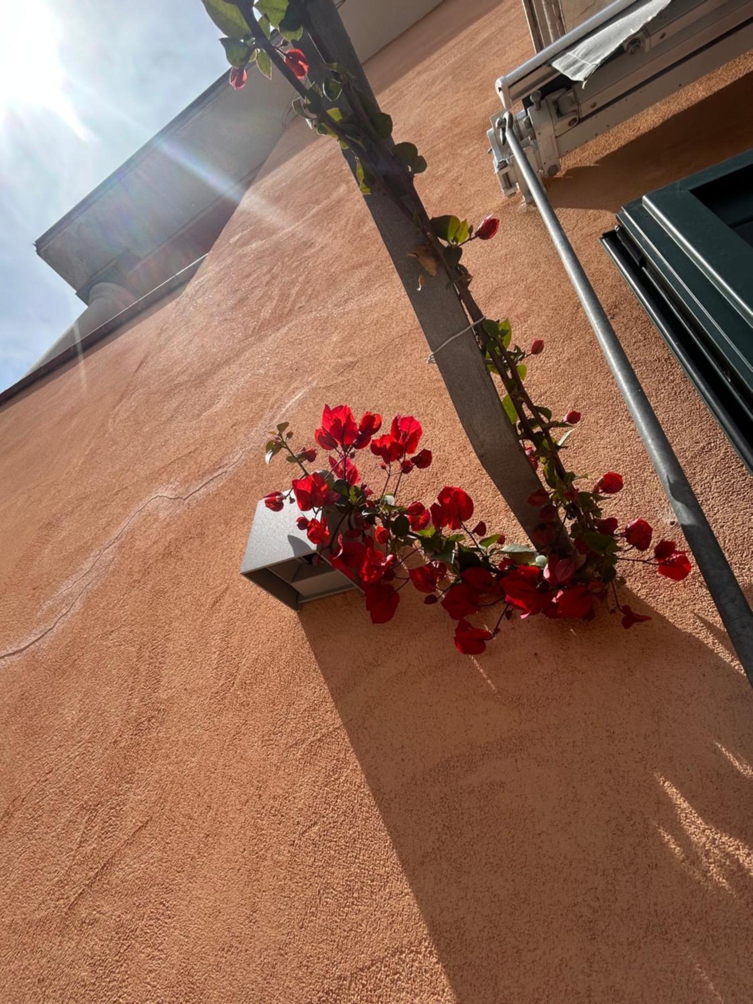 Sissi House Salerno Apartment Екстериор снимка